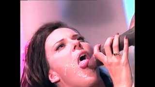 שוואַרץ מלך און זיין גאַסט זענען פאַקינג דעם סטאַרווינג באַסטי פייגעלע