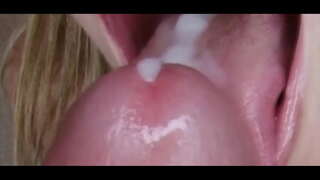 التثبيت: بطيئة Hypno الديك العبادة المدرب 3