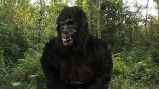 Raja Dong&amp;#039;s 40oz Bangkit!