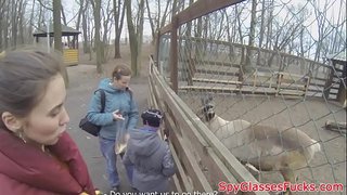 ���िकालयो यूरो कुखुरा द्वारा गडबड मा एक अजनबी POV