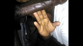 Poludnie hlavu gauči