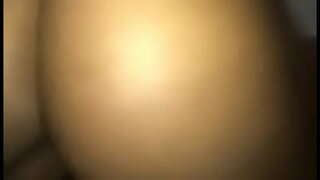 שוואַרץ שריט שוועסטער און ברודער קוויקי