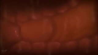 Sâu bên trong bụng mẹ